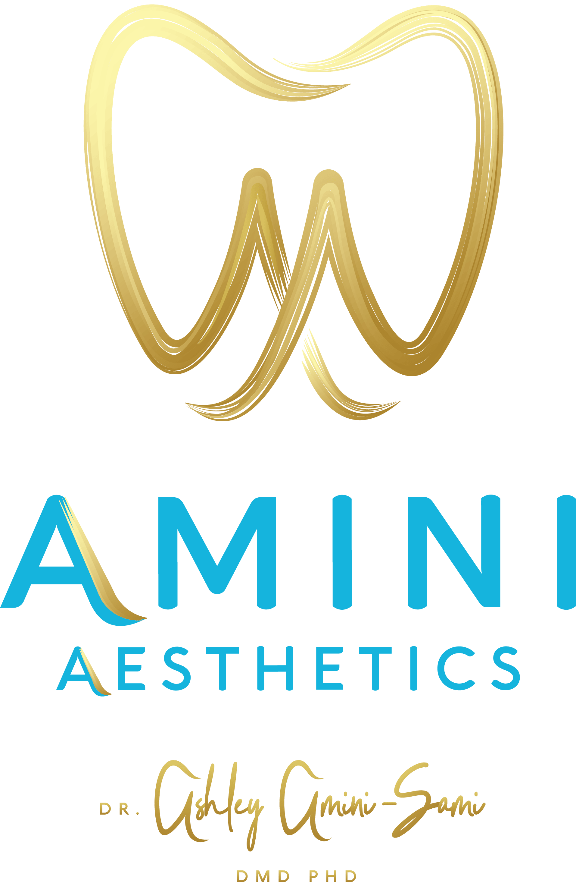 Amini Aesthetics